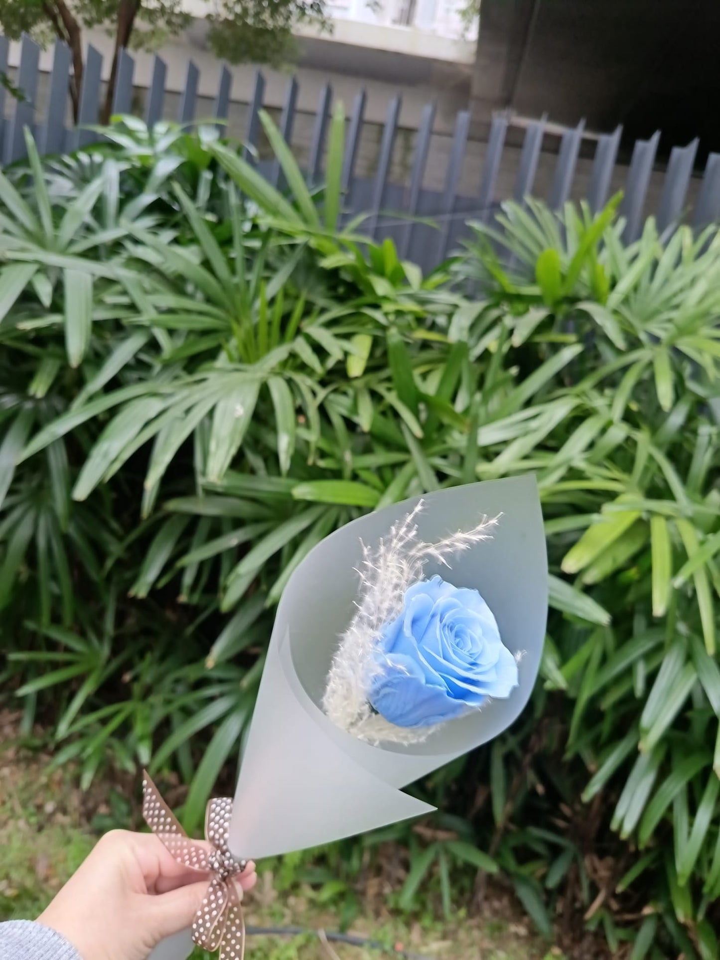 永生花 – 單支花束  Preserved Flower - Single Bouquet