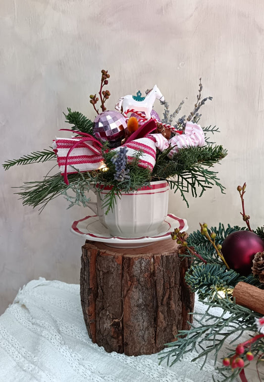 貴族松聖誕杯子花 Noble Fir Christmas Cup Flower